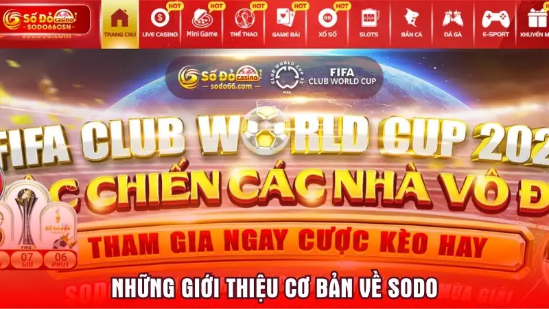Giới thiệu cơ bản về SODO