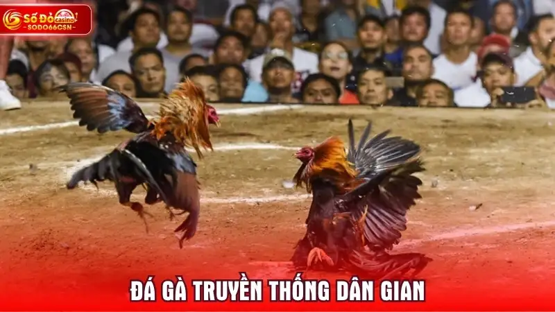 Đá Gà Truyền Thống Dân Gian