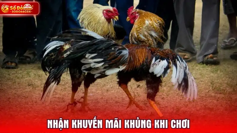 Nhận khuyến mãi khủng khi chơi