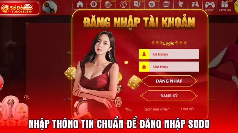 Nhập thông tin chuẩn để đăng nhập SODO