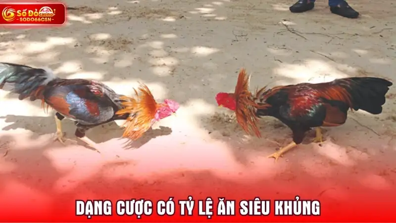 Dạng cược có tỷ lệ ăn siêu khủng