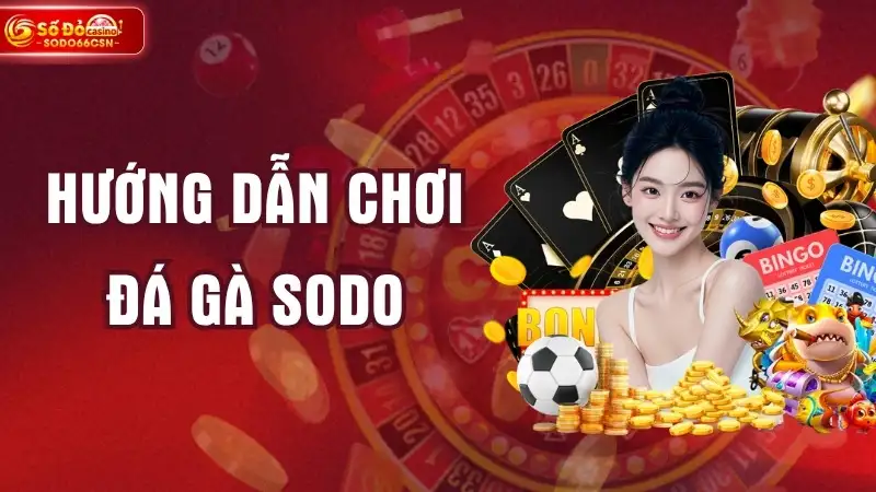Hướng Dẫn Chơi Đá Gà SODO