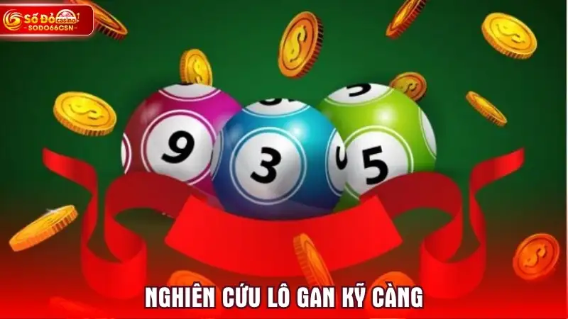 Nghiên cứu lô gan kỹ càng