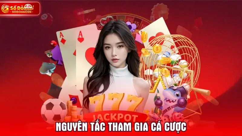 Nguyên tắc tham gia cá cược