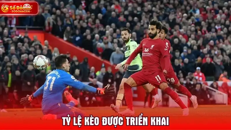 Tỷ lệ kèo được triển khai