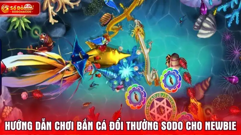 Hướng dẫn chơi bắn cá đổi thưởng SODO cho newbie