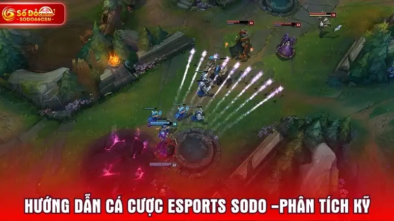 Hướng dẫn cá cược esports SODO -Phân tích kỹ