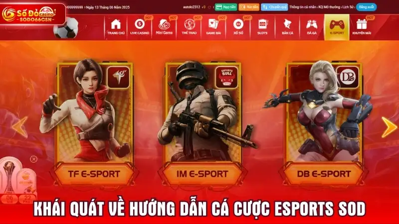 Khái quát về hướng dẫn cá cược esports SODO