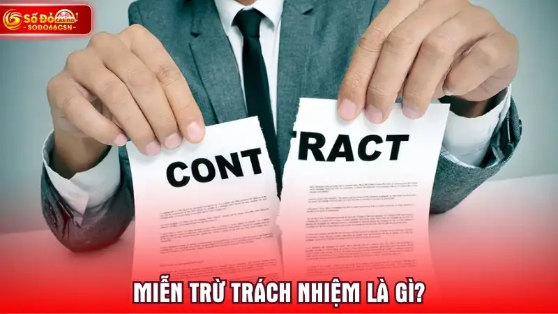 Miễn trừ trách nhiệm là gì?