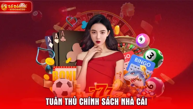 Tuân thủ chính sách nhà cái