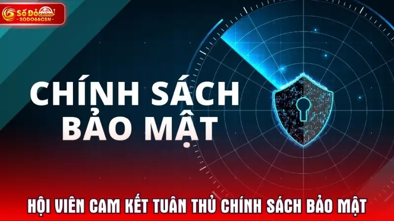 Hội viên cam kết tuân thủ chính sách bảo mật