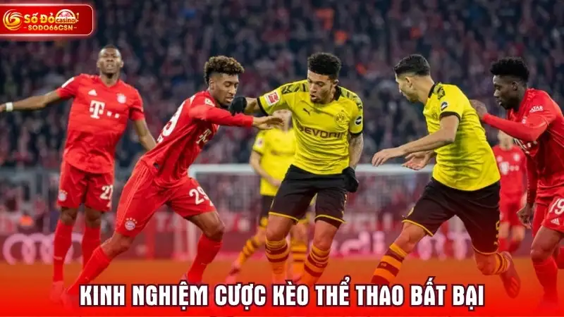 Kinh nghiệm cược kèo thể thao bất bại