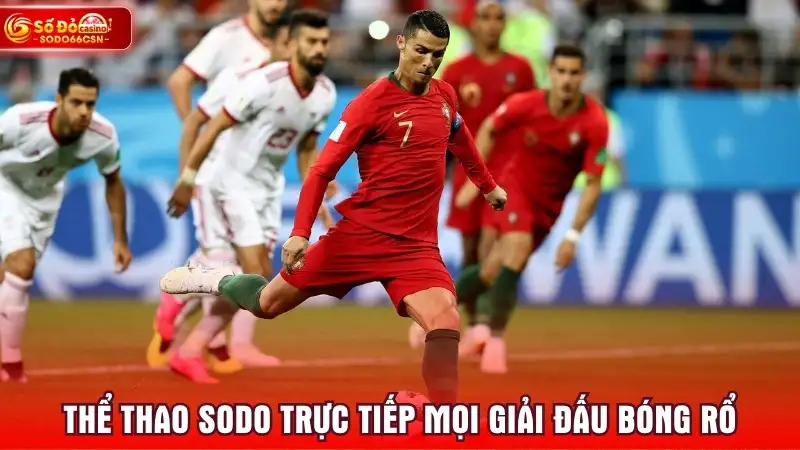 Thể thao SODO trực tiếp mọi giải đấu bóng rổ