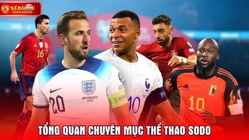 Tổng quan chuyên mục thể thao SODO